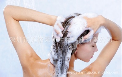 厂家直销青天探案生物科技茶树油洗发水 平衡油脂洗发水质优价廉